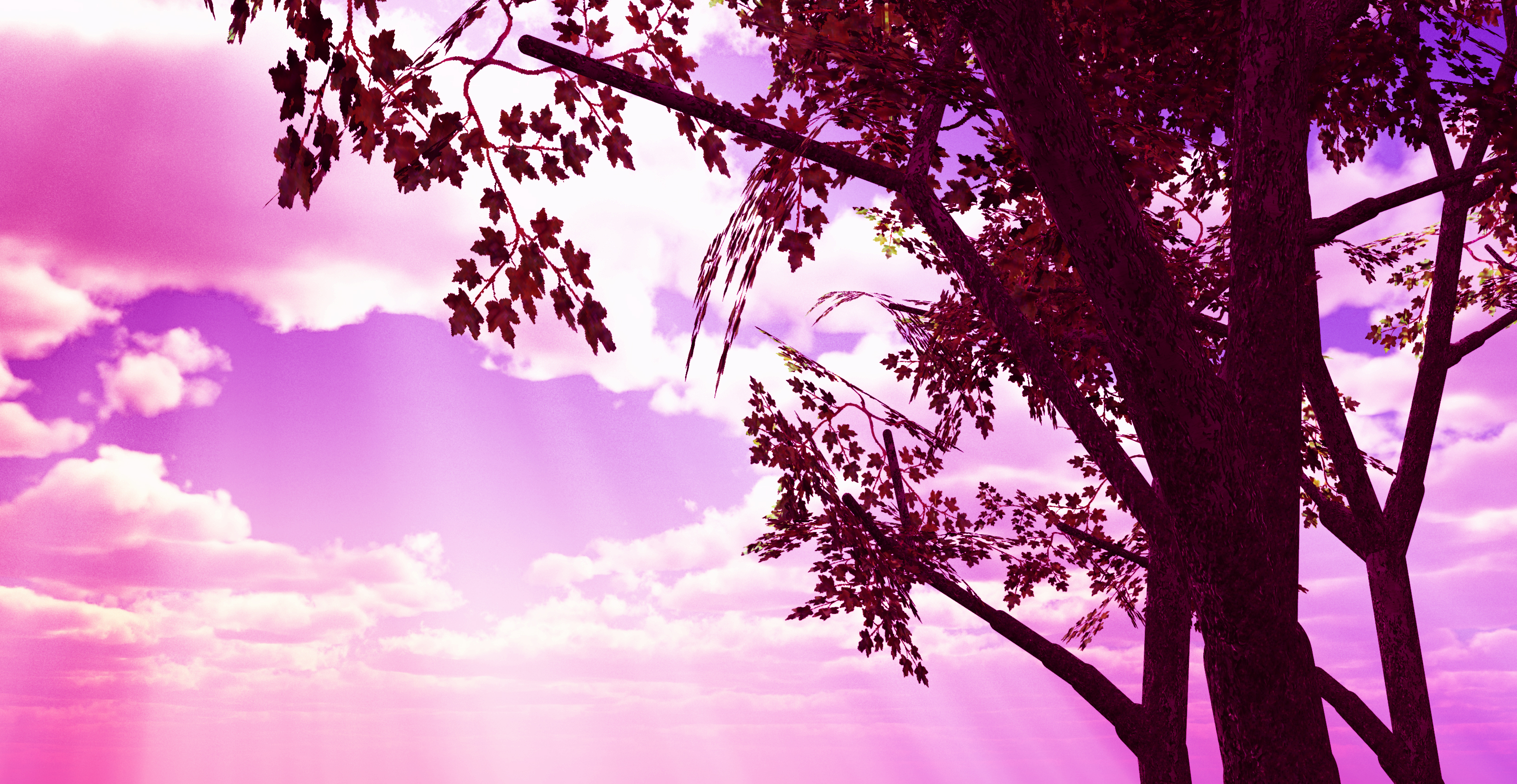 MUSICA E  POESIA di Maria  Accorinti